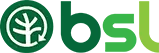 bsl