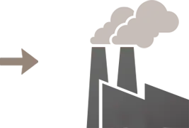 Stage 6
